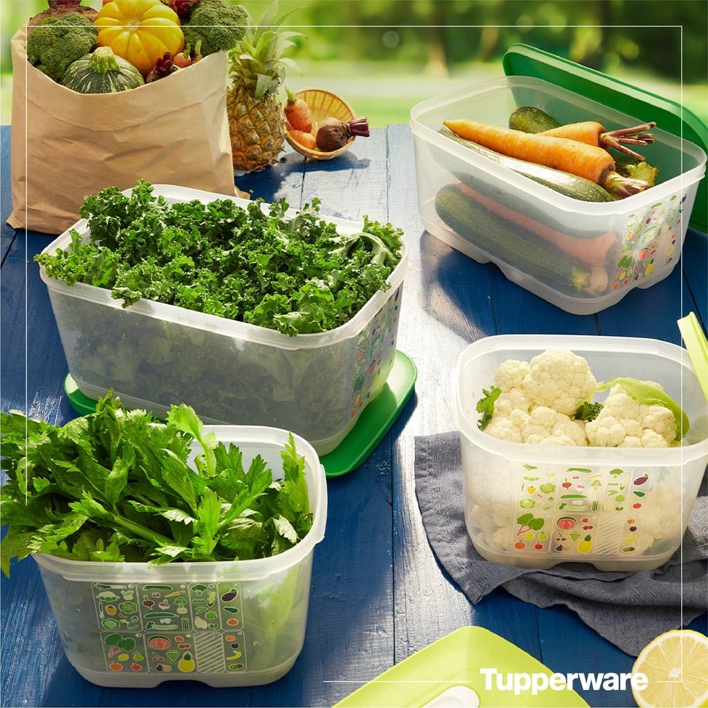 Bộ hộp trữ mát có nút hô hấp Ventsmart 4 hộp – Tupperware