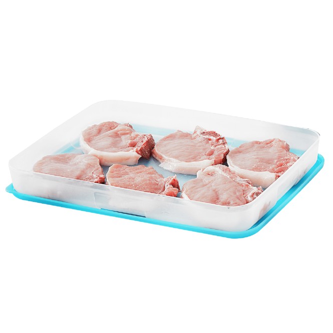 Hộp Trữ Đông Freezermate 1.2L thấp – Tupperware