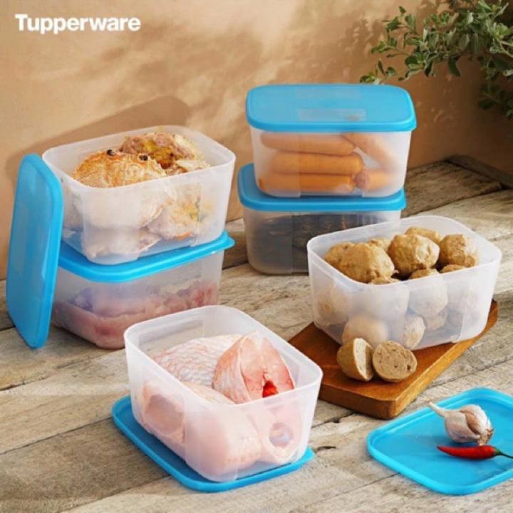 Bộ Hộp Trữ Đông Freezermate 650ml (6 Hộp) – Tupperware