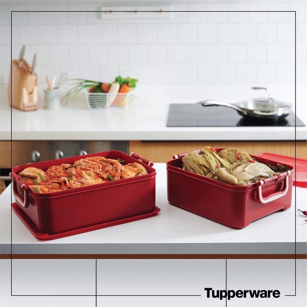 BỘ HỘP BẢO QUẢN THỰC PHẨM NGÂM (2 hộp) – Tupperware