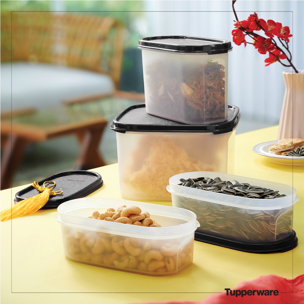 Bộ hộp kệ bếp Modular Mates Starter set (4 hộp) – Tupperware
