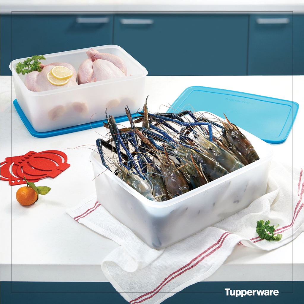 Bộ hộp trữ đông Freezermate Gen II 5.7L (2 hộp) – Tupperware