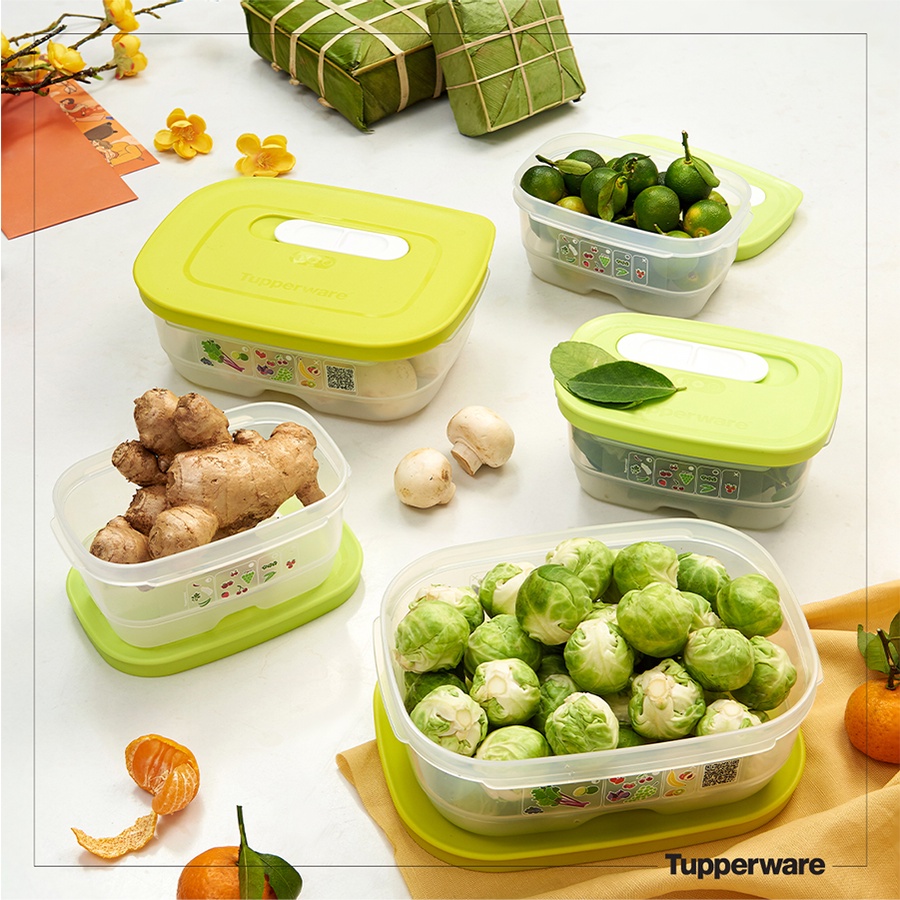 Bộ hộp trữ mát có nút hô hấp Ventsmart Five Star (5 hộp) – Tupperware