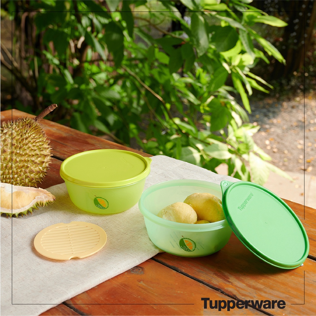 BỘ HỘP BẢO QUẢN THỰC PHẨM DURIAN KEEPER (2 hộp) – Tupperware