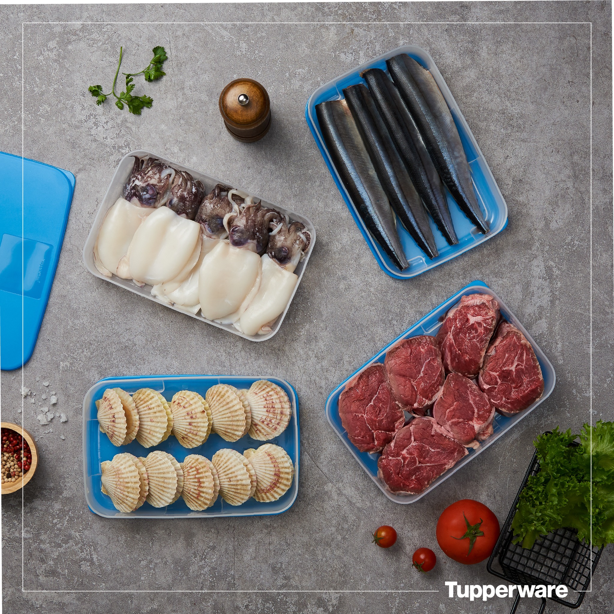 Bộ hộp trữ đông Happy Set 550ml (4) Tupperware